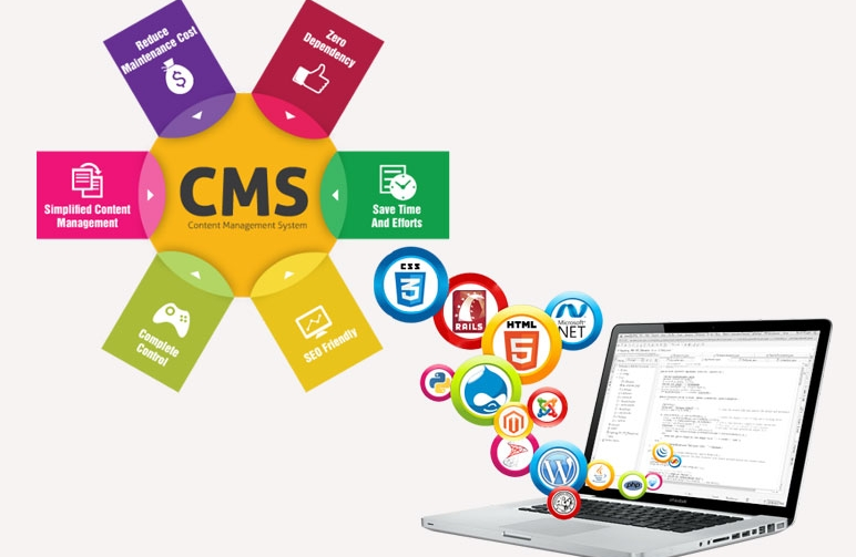 CMS Website Design